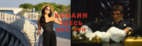 гашик Козловка
