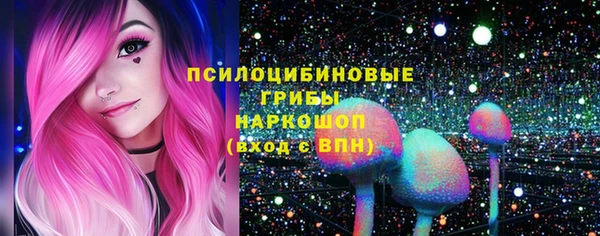spice Новозыбков
