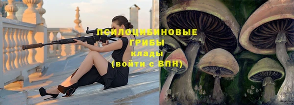 spice Новозыбков